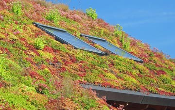 Low Moor living roof systems